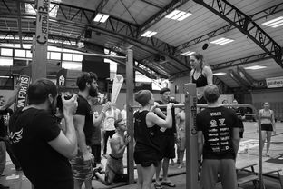 开yun官网-“2025世界游泳锦标赛：水上芭蕾精彩纷呈，艺术之美与竞技并行”