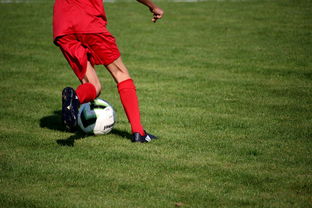 开云体育app-体育新闻中心发布体育短视频内容运营新策略，体育短视频存在的问题