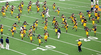 kaiyun网址-国家队教练团队协作存在的问题，教练员队伍建设  第2张